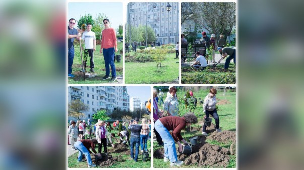 Вандалы уничтожили аллею берёз, высаженную в память о жертвах одесской трагедии