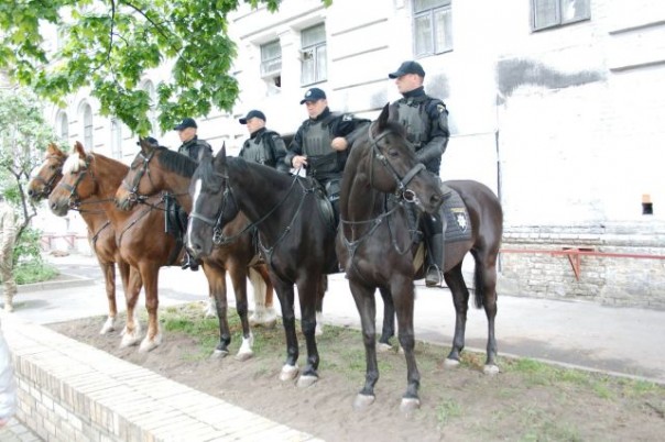 Праздник удался: победители вновь победили... Владимир Скачко Праздник удался: победители вновь победили... Владимир Скачко