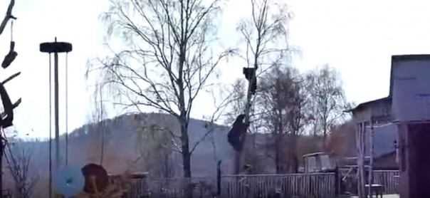 Мужик и медведь