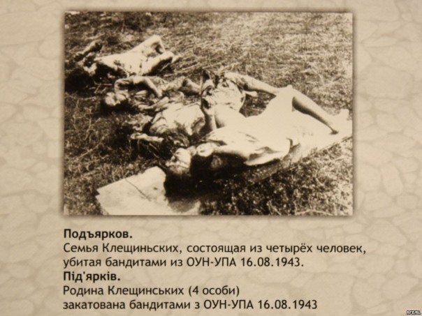 Авторитетный американский журнал обвинил Вятровича и его институт в фальсификации истории