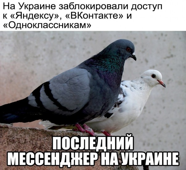 Порошенко подписал указ о блокировке российских сайтов, 1С, Яндекс, Касперского, ВК, Одноклассники…