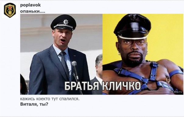 "Мыздобулы" в картинках. Смешных и не очень... 17.05.2017 "Мыздобулы" в картинках. Смешных и не очень... 17.05.2017