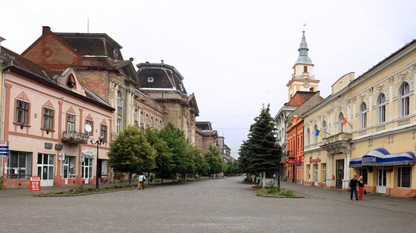 СБУ задержала главу райсовета Берегово после обращения сохранить языковые права венгров