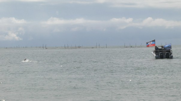 В честь Дня Победы: экстремальный заплыв спортсменов ДНР и России В честь Дня Победы: экстремальный заплыв спортсменов ДНР и России