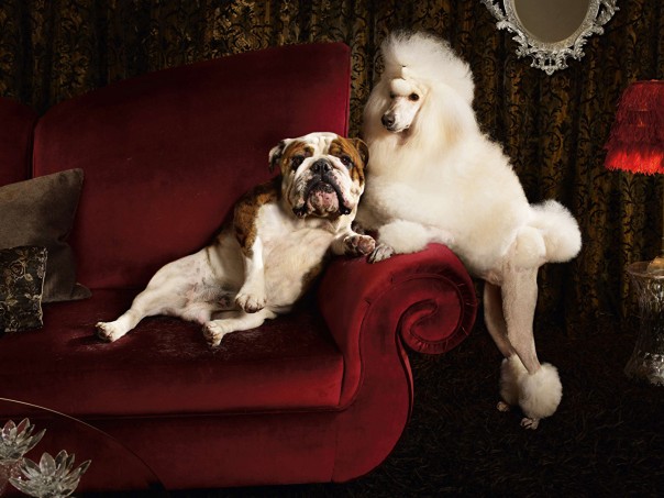 Чем социализм отличается от капитализма. В стопятьсотый раз. Чем социализм отличается от капитализма. В стопятьсотый раз.