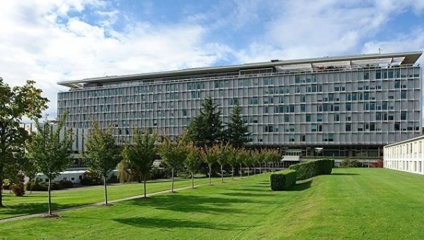 ВОЗ тратит на поездки сотрудников больше, чем на борьбу с малярией и СПИДом ВОЗ тратит на поездки сотрудников больше, чем на борьбу с малярией и СПИДом