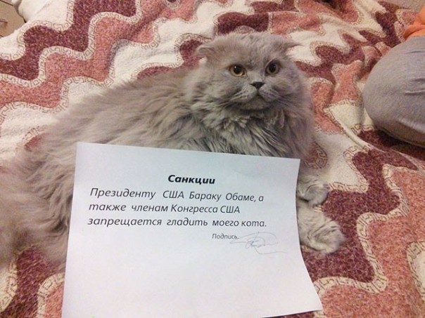 Подтвердилась бутафория западных санкций Подтвердилась бутафория западных санкций