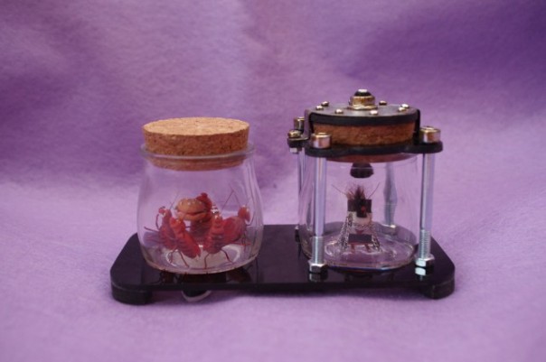 Мои тараканы Мои тараканы