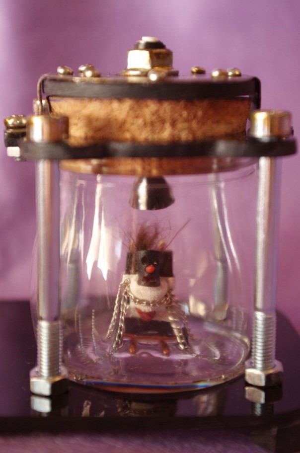 Мои тараканы Мои тараканы