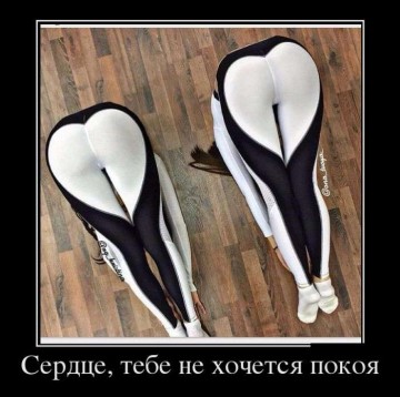 "Мыздобулы" в картинках. Смешных и не очень... 01.05.2017