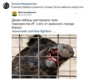 "Мыздобулы" в картинках. Смешных и не очень... 01.05.2017