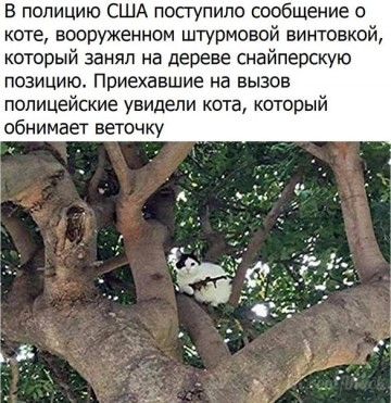 "Мыздобулы" в картинках. Смешных и не очень... 01.05.2017