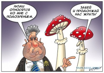 "Мыздобулы" в картинках. Смешных и не очень... 01.05.2017