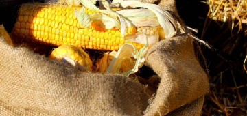 Евросоюз издевается над Украиной