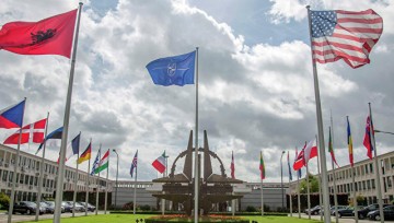 Трамп и Макрон договорились встретиться на саммите НАТО