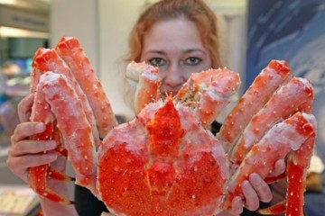 «Каспаров.ru»: как опозориться одной статьей