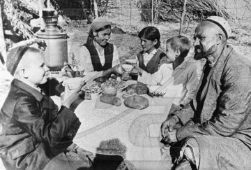 Перемога малозаметная, среднеазиатская