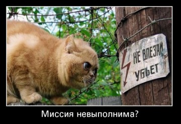 "Мыздобулы" в картинках. Смешных и не очень... 13.05.2017