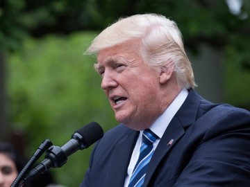 Вся болотная рать. Специальный репортаж