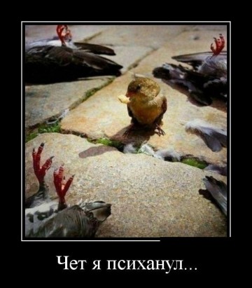 "Мыздобулы" в картинках. Смешных и не очень... 17.05.2017