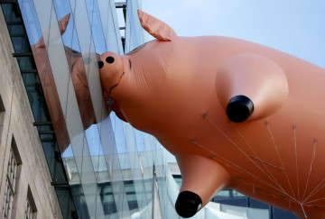 "Мыздобулы" в картинках. Смешных и не очень... 17.05.2017