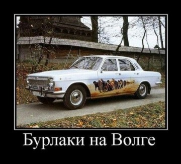 "Мыздобулы" в картинках. Смешных и не очень... 17.05.2017