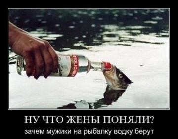 "Мыздобулы" в картинках. Смешных и не очень... 21.05.2017