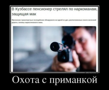 "Мыздобулы" в картинках. Смешных и не очень... 21.05.2017