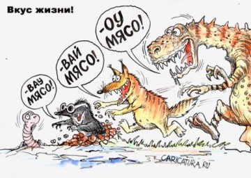 "Мыздобулы" в картинках. Смешных и не очень... 21.05.2017