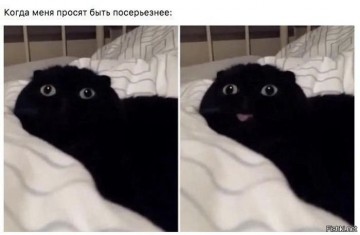 "Мыздобулы" в картинках. Смешных и не очень... 24.05.2017