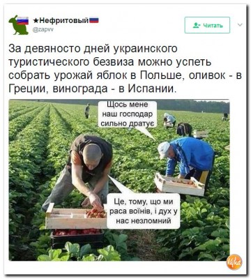 "Мыздобулы" в картинках. Смешных и не очень... 24.05.2017