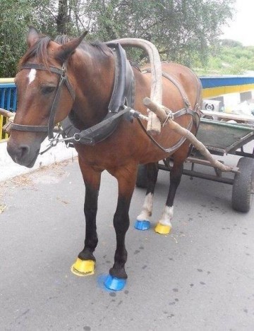 "Мыздобулы" в картинках. Смешных и не очень... 24.05.2017