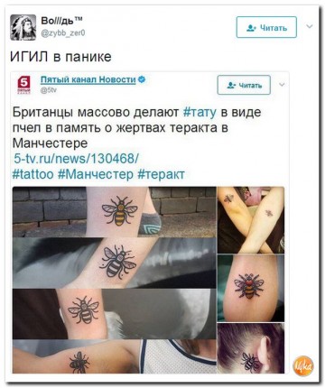 "Мыздобулы" в картинках. Смешных и не очень... 28.05.2017