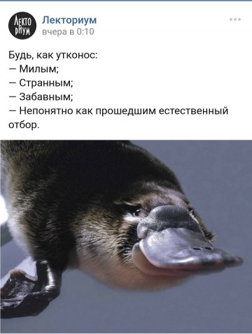 "Мыздобулы" в картинках. Смешных и не очень... 28.05.2017