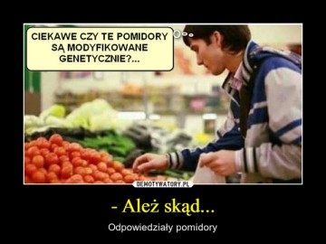 "Мыздобулы" в картинках. Смешных и не очень... 28.05.2017