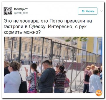 "Мыздобулы" в картинках. Смешных и не очень... 28.05.2017