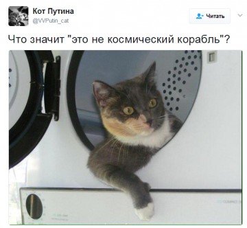 "Мыздобулы" в картинках. Смешных и не очень... 28.05.2017