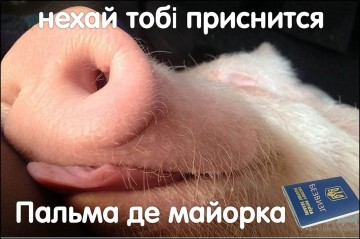 "Мыздобулы" в картинках. Смешных и не очень... 28.05.2017