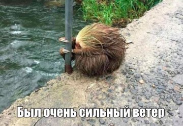 "Мыздобулы" в картинках. Смешных и не очень... 30.05.2017