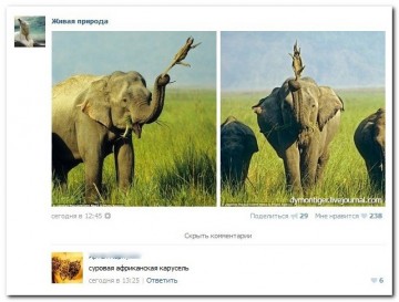 "Мыздобулы" в картинках. Смешных и не очень... 30.05.2017