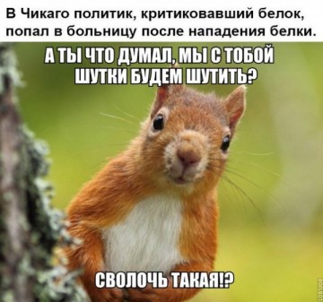 "Мыздобулы" в картинках. Смешных и не очень... 30.05.2017