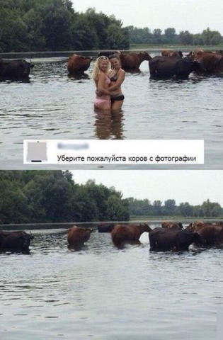 "Мыздобулы" в картинках. Смешных и не очень... Воскресный выпуск от 04.06.2017