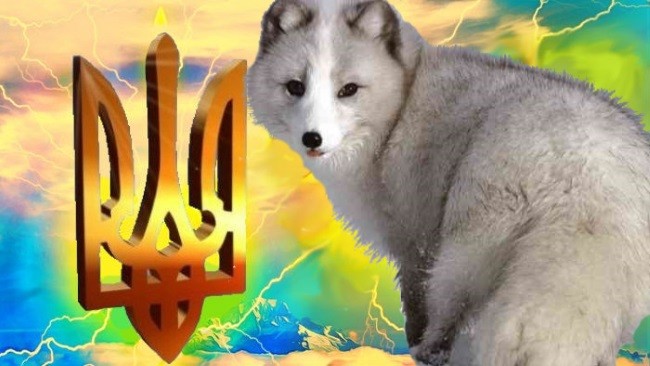 Когда стране твоей песец, из сала сделай тризубец Когда стране твоей песец, из сала сделай тризубец