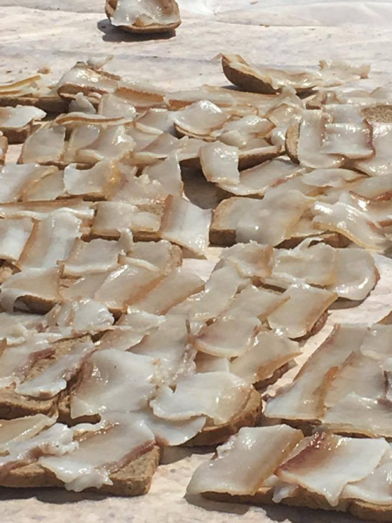 Тухлый рекорд: бутербродами из сала, из которых выложили гигантский герб Украины, массово отравились люди Тухлый рекорд: бутербродами из сала, из которых выложили гигантский герб Украины, массово отравились люди