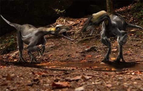 Интересные факты о динозаврах Интересные факты о динозаврах