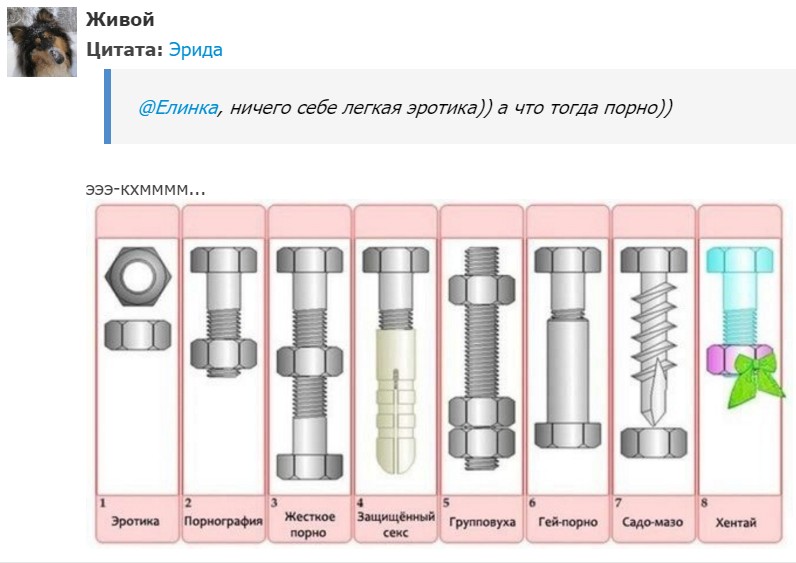 "Мыздобулы" в картинках. Смешных и не очень...15.07.2017 "Мыздобулы" в картинках. Смешных и не очень...15.07.2017