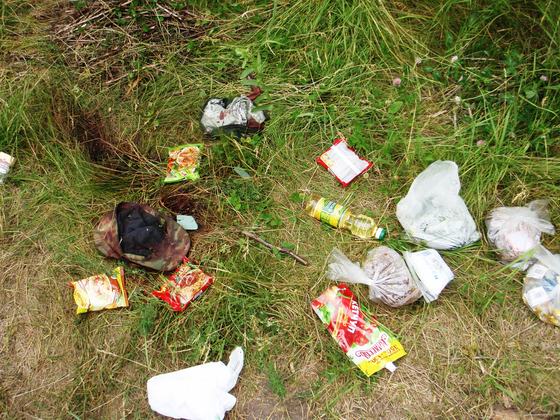 Сводка от НМ ЛНР 29 июня 2017. ЛНР передала миссии ООН результаты экспертиз и фото убитых бойцов Народной милиции