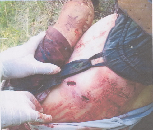 Сводка от НМ ЛНР 29 июня 2017. ЛНР передала миссии ООН результаты экспертиз и фото убитых бойцов Народной милиции