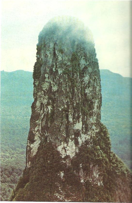 Перст в небо Перст в небо