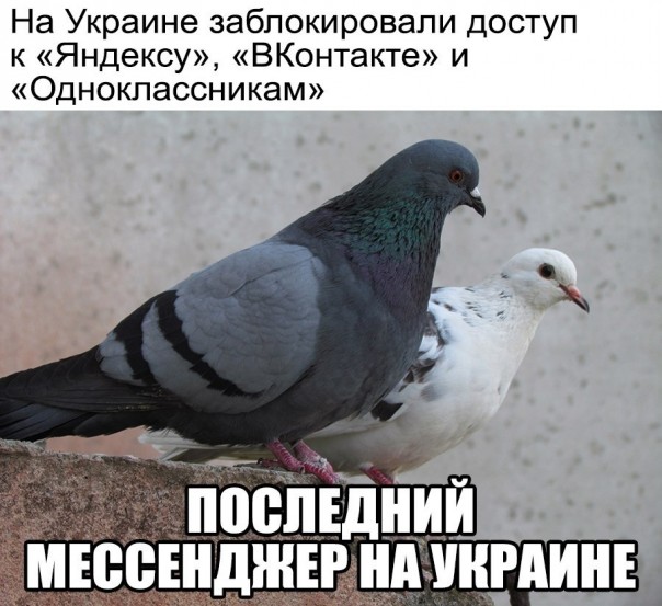 "Мыздобулы" в картинках. Смешных и не очень... 02.06.2017 "Мыздобулы" в картинках. Смешных и не очень... 02.06.2017